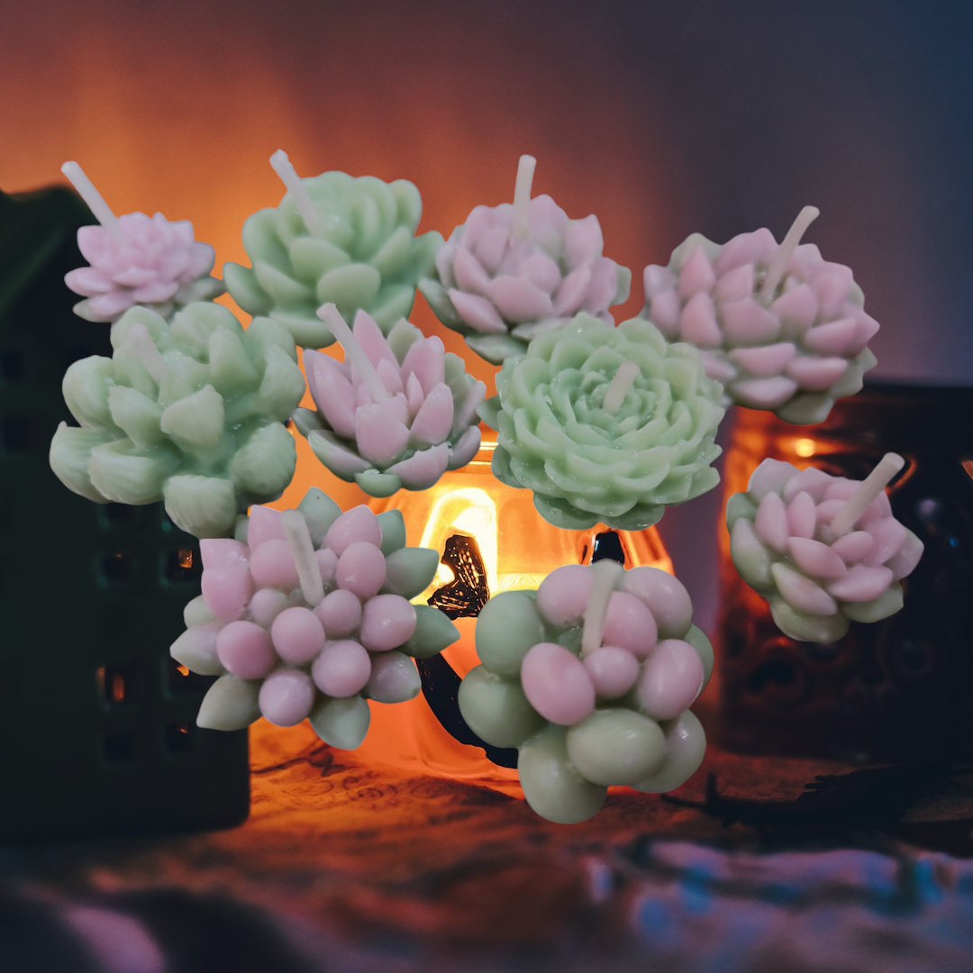 10 small Cactus and Succulent candles(shape,color, fragrance may vary)