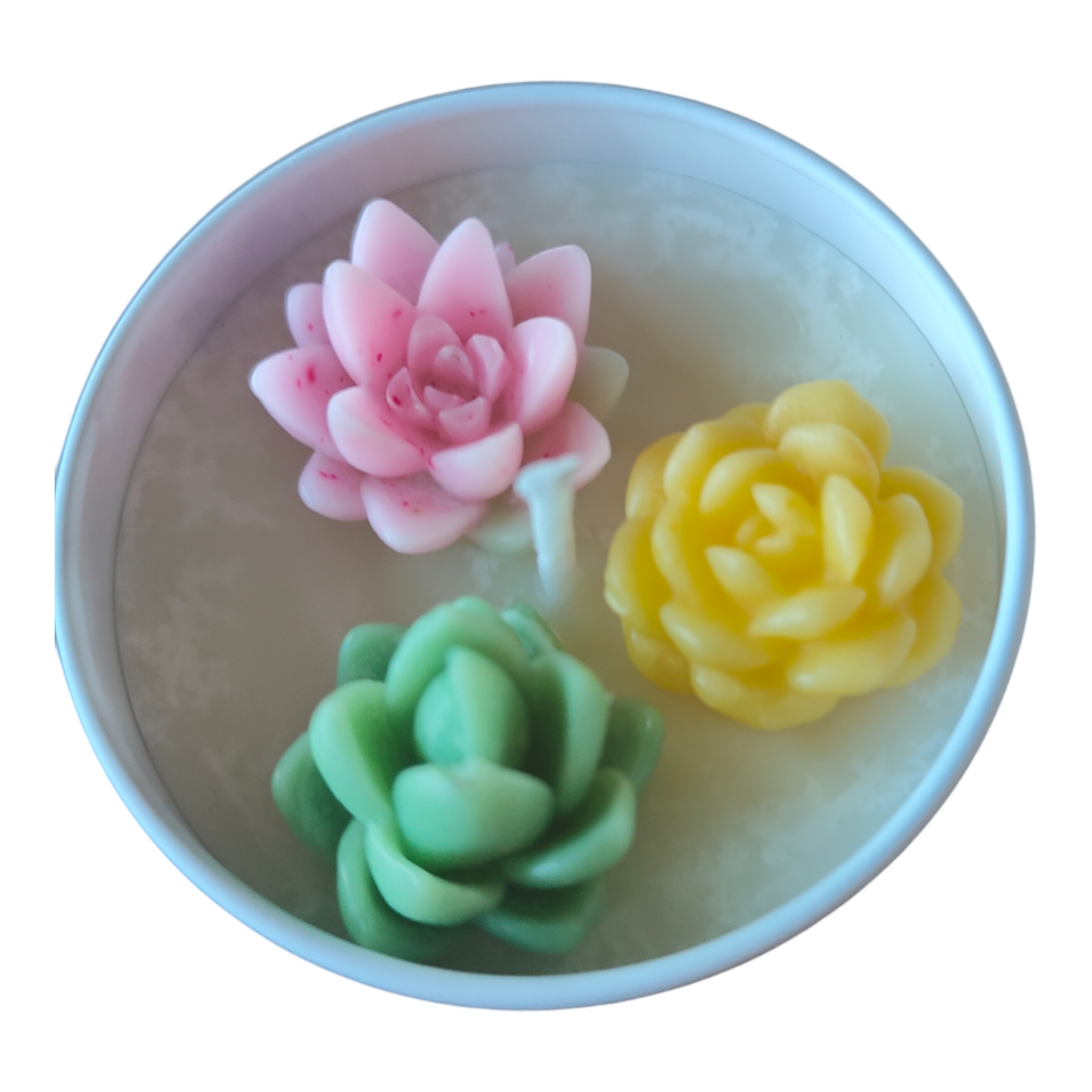 Succulent Candles in Tin Tray - Handmade