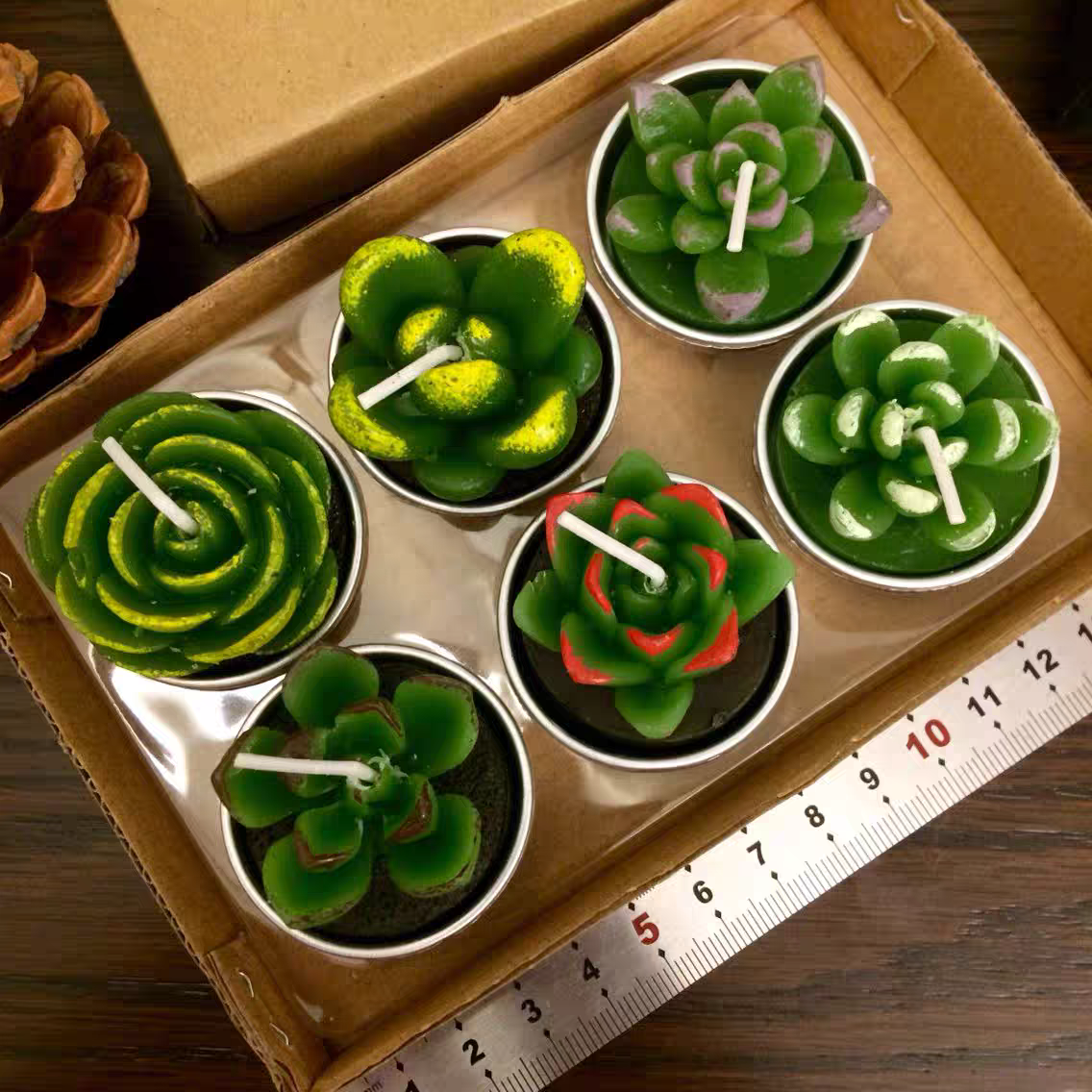 Cactus and Succulent tea light candle (set of 6 randomly picked by shipper)