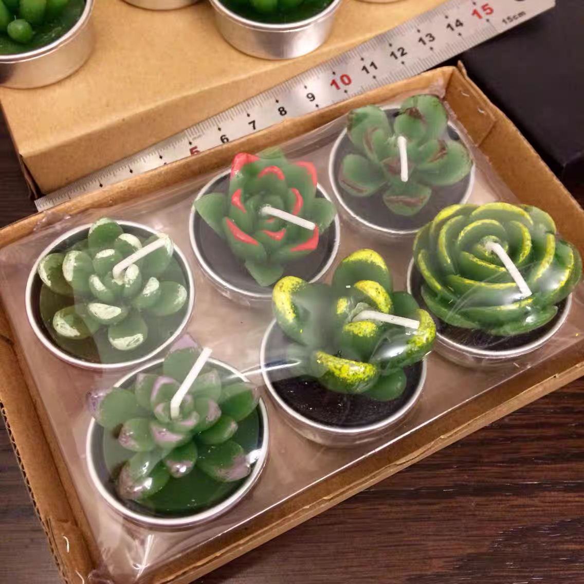 Cactus and Succulent tea light candle (set of 6 randomly picked by shipper)